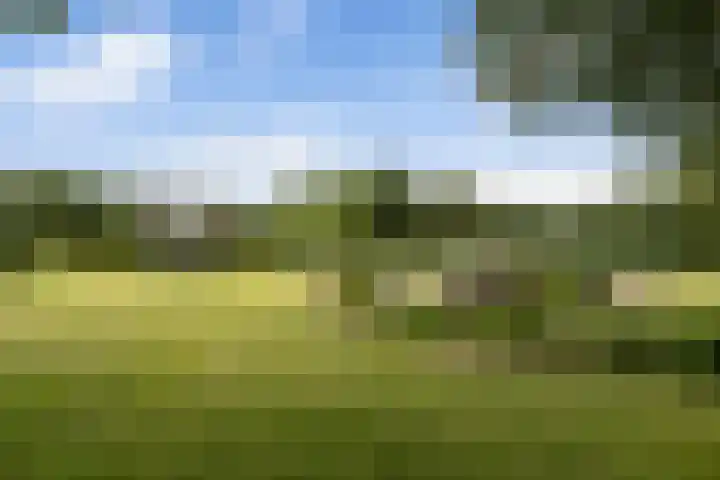 Pierestraat 11 Rucphen thumbnail 40