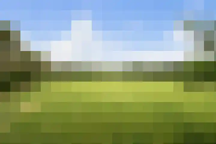 Pierestraat 11 Rucphen thumbnail 42