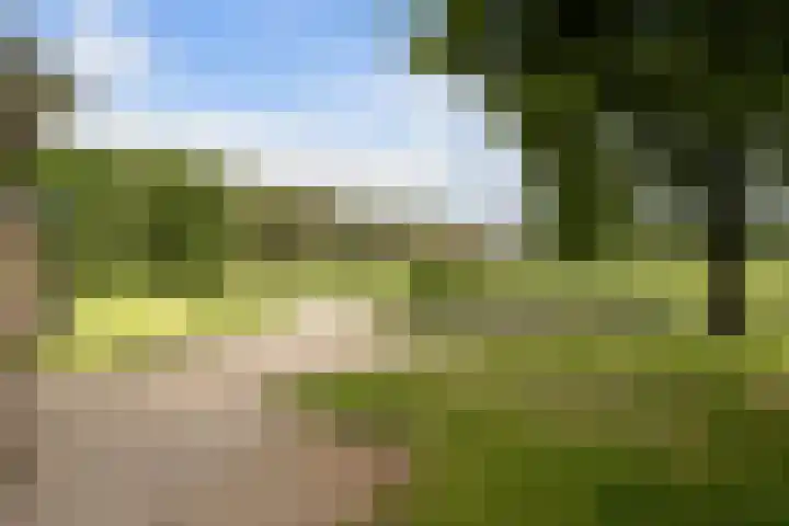 Pierestraat 11 Rucphen thumbnail 50