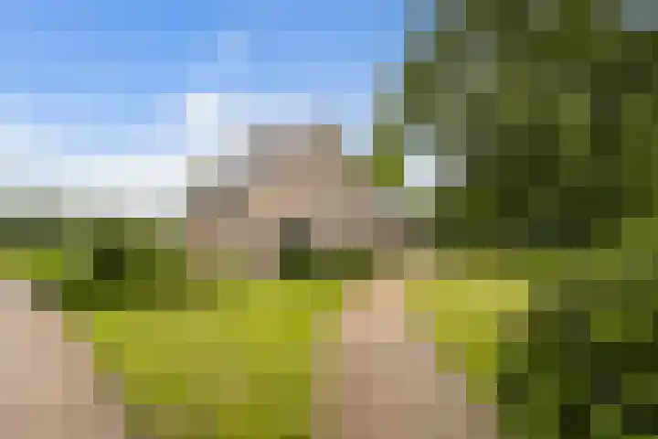 Pierestraat 11 Rucphen thumbnail 51