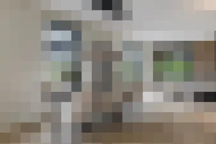 Pierestraat 5 A Rucphen thumbnail 13