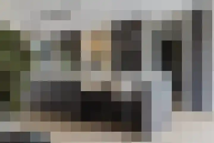 Pierestraat 5 A Rucphen thumbnail 17