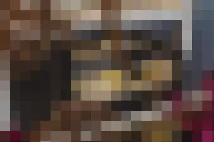 Pierestraat 5 A Rucphen thumbnail 24