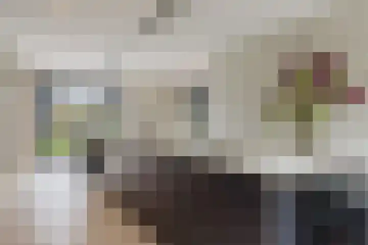 Pierestraat 5 A Rucphen thumbnail 25