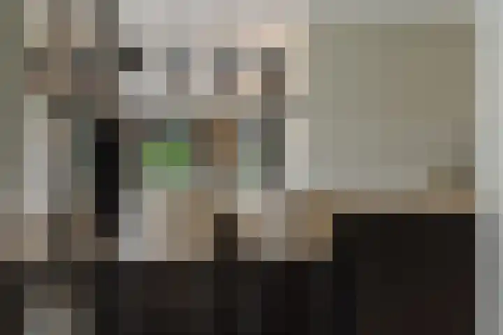 Pierestraat 5 A Rucphen thumbnail 26
