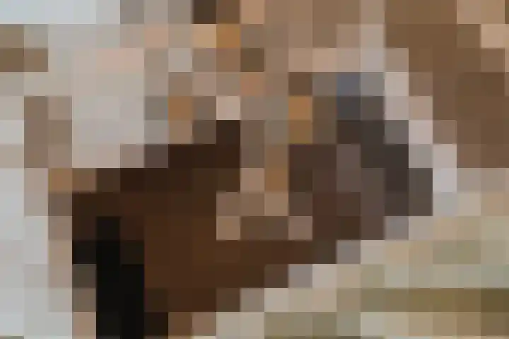 Pierestraat 5 A Rucphen thumbnail 29