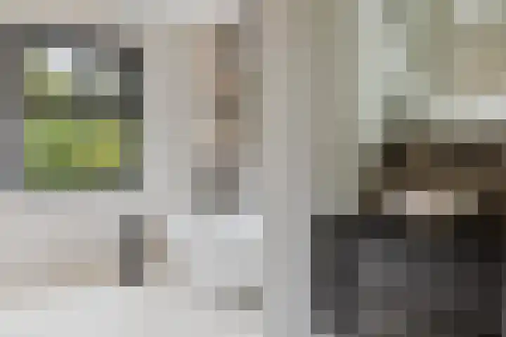 Pierestraat 5 A Rucphen thumbnail 33