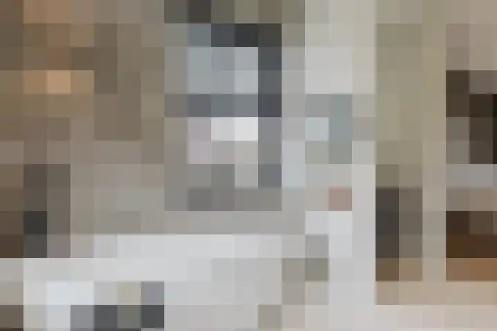 Pierestraat 5 A Rucphen thumbnail 35