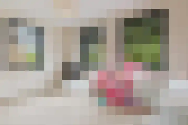 Pierestraat 5 A Rucphen thumbnail 38