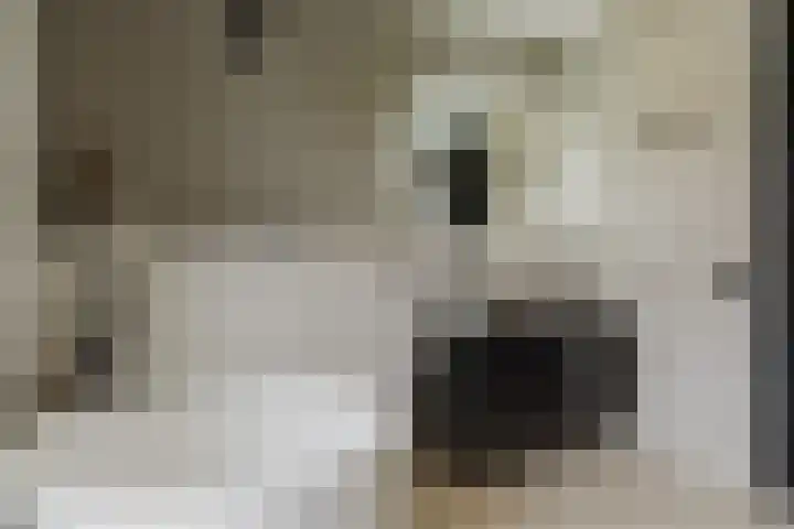 Pierestraat 5 A Rucphen thumbnail 42