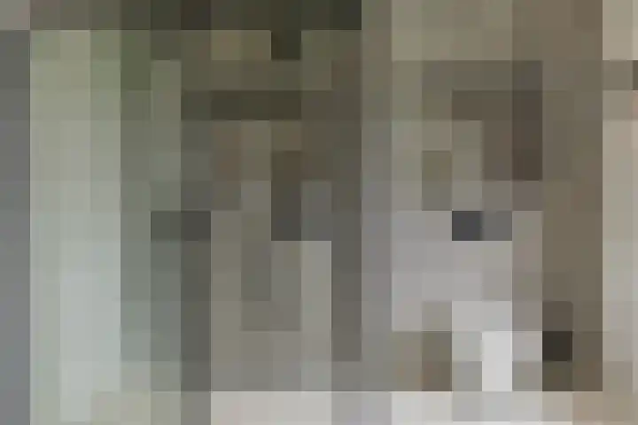 Pierestraat 5 A Rucphen thumbnail 43