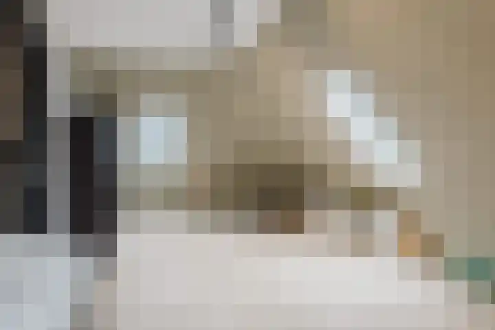 Pierestraat 5 A Rucphen thumbnail 48