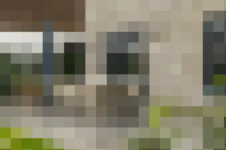 Pierestraat 5 A Rucphen thumbnail 51