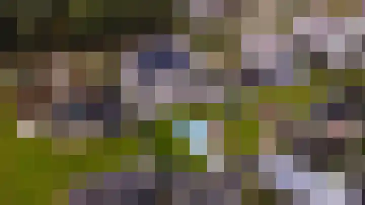 Pierestraat 5 A Rucphen thumbnail 55