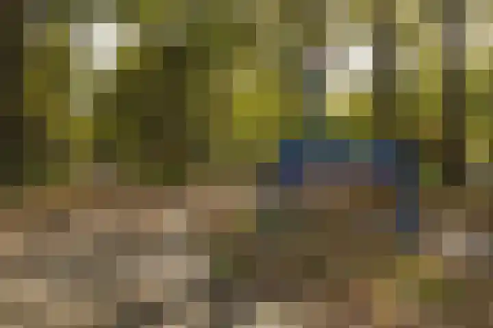 Pierestraat 5 A Rucphen thumbnail 59
