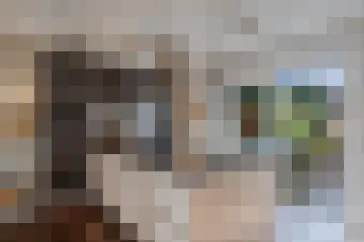 Piersonlaan 16 Huizen thumbnail 15