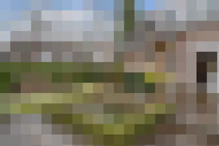 Piersonlaan 16 Huizen thumbnail 24