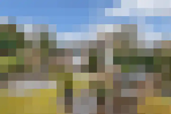 Piersonlaan 16 Huizen thumbnail 28