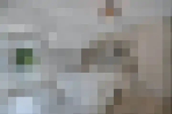 Piersonlaan 16 Huizen thumbnail 38