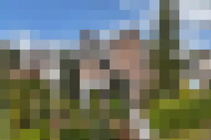 Piersonlaan 16 Huizen thumbnail 4