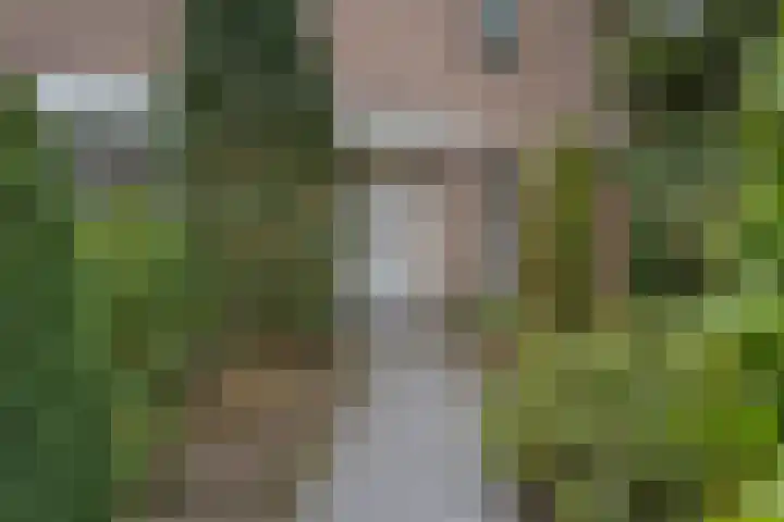 Piersonlaan 16 Huizen thumbnail 55