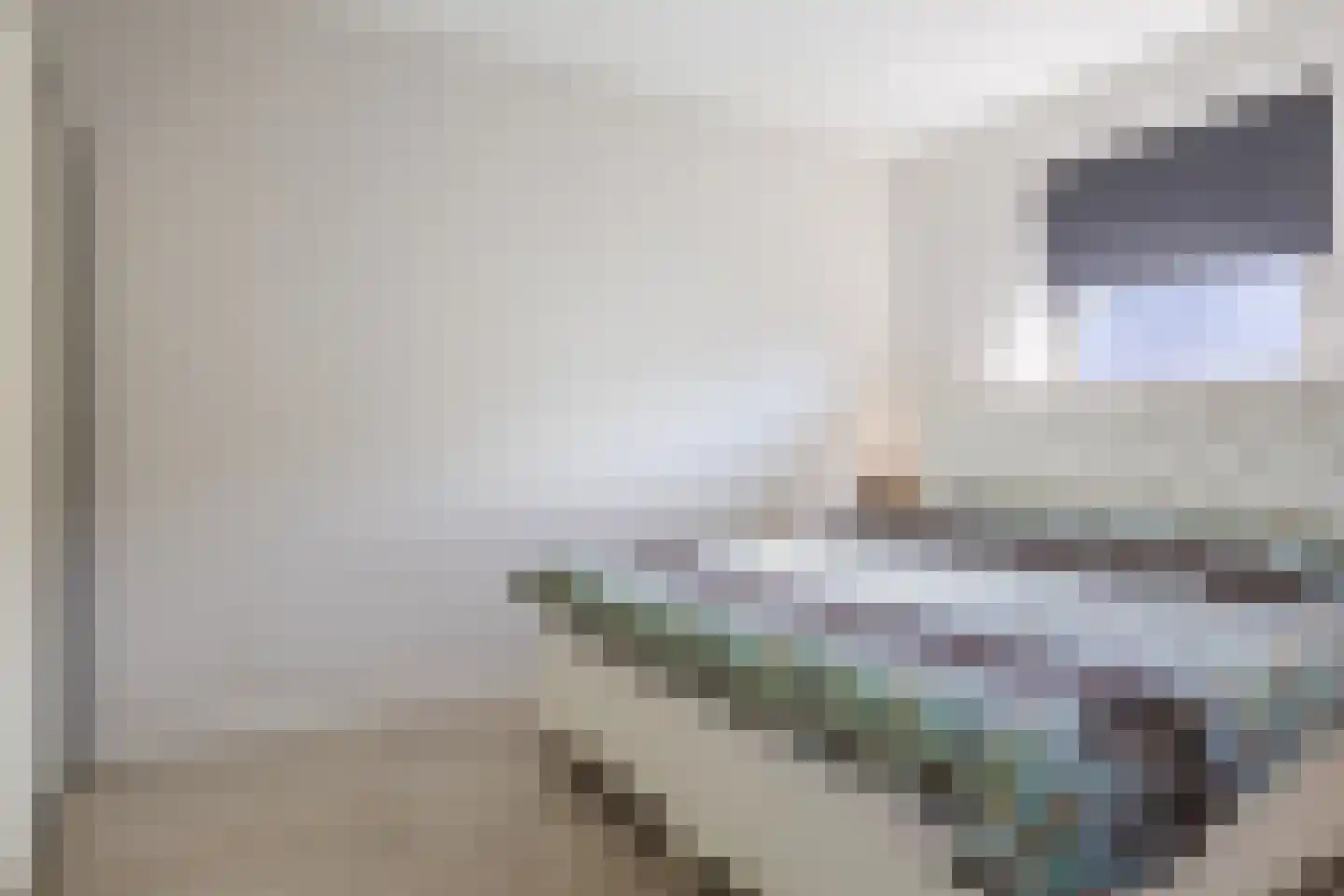 Piet Bartenstraat 28 Erp thumbnail 17