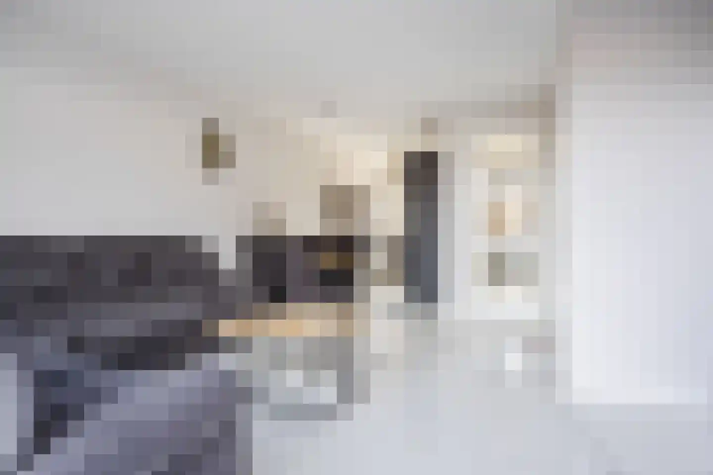 Piet Bartenstraat 28 Erp thumbnail 9