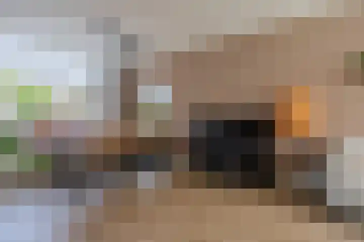Piet Heinstraat 12 Bodegraven thumbnail 13