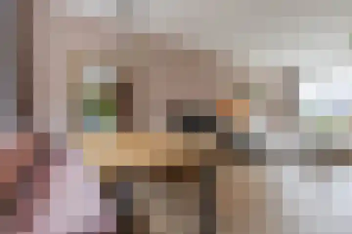 Piet Heinstraat 12 Bodegraven thumbnail 14