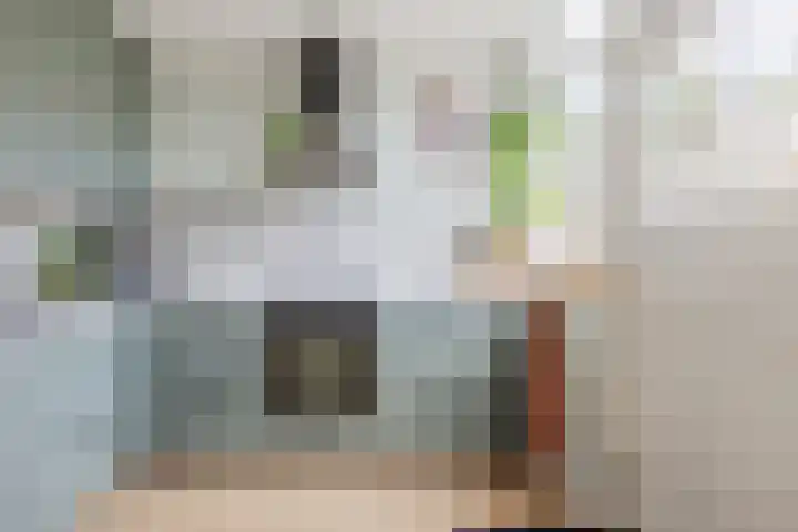 Piet Heinstraat 12 Bodegraven thumbnail 16
