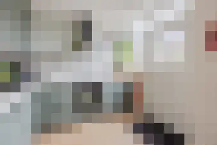 Piet Heinstraat 12 Bodegraven thumbnail 18