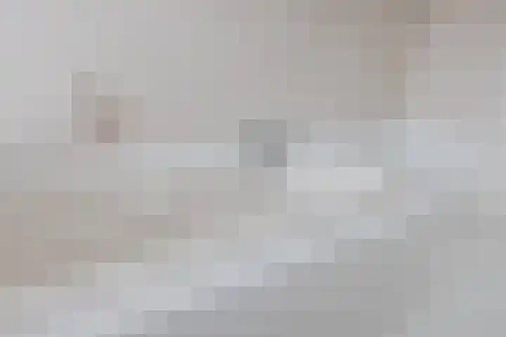 Piet Heinstraat 12 Bodegraven thumbnail 26