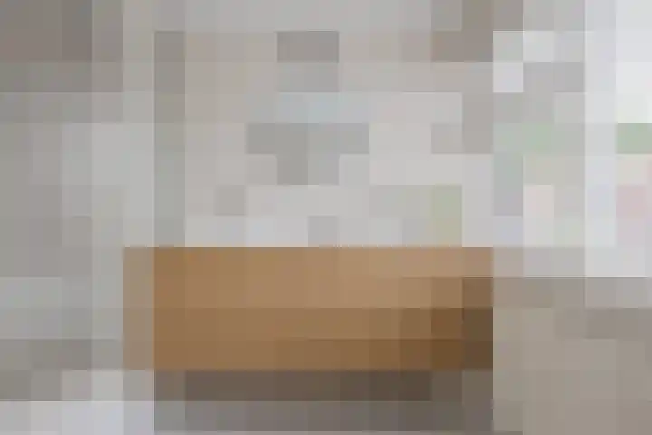 Piet Heinstraat 12 Bodegraven thumbnail 27