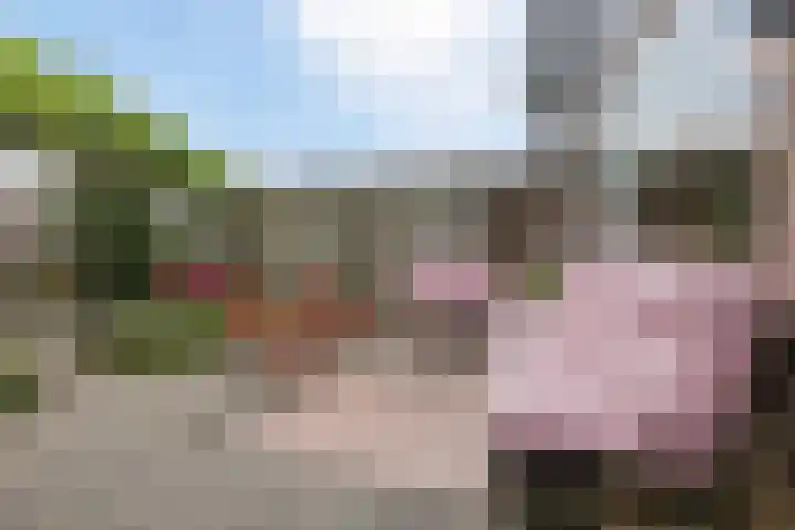Piet Heinstraat 12 Bodegraven thumbnail 32