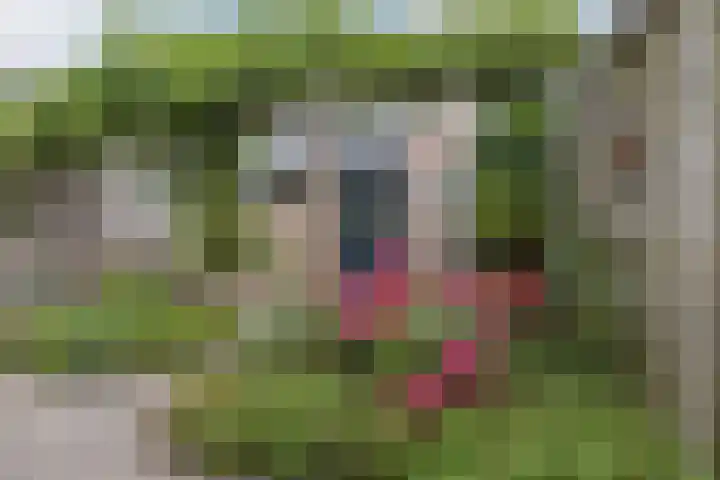 Piet Heinstraat 12 Bodegraven thumbnail 34