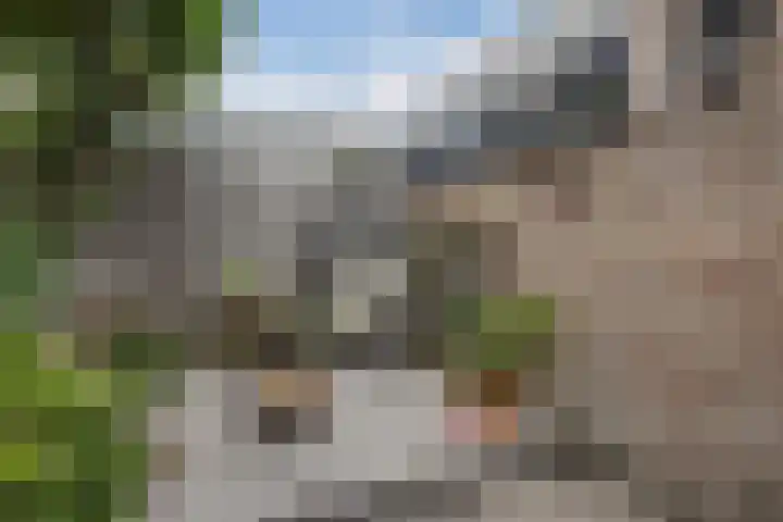 Piet Heinstraat 12 Bodegraven thumbnail 35