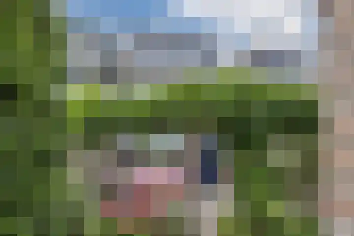 Piet Heinstraat 12 Bodegraven thumbnail 36