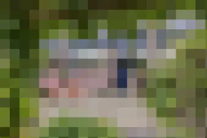 Piet Heinstraat 12 Bodegraven thumbnail 37