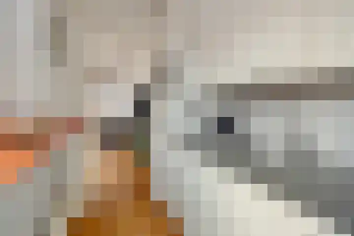 Piet Heinstraat 17 Leiden thumbnail 9