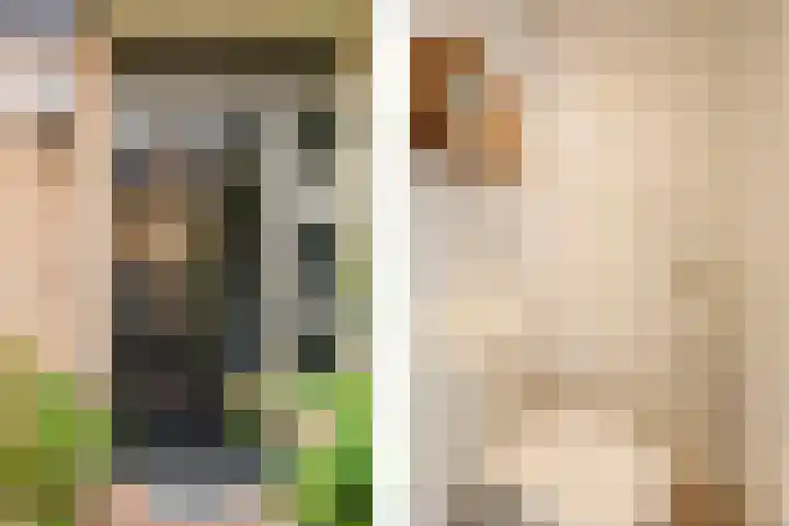 Piet Heinstraat 19 De Meern thumbnail 13