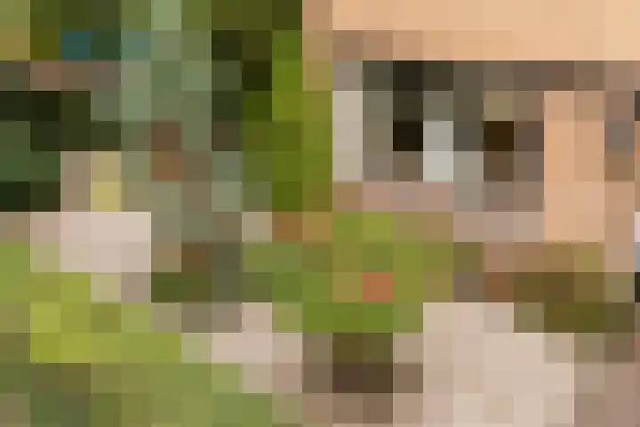Piet Heinstraat 19 De Meern thumbnail 15