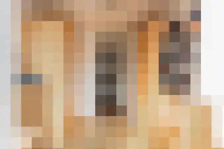 Piet Heinstraat 19 De Meern thumbnail 19