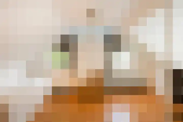 Piet Heinstraat 19 De Meern thumbnail 27