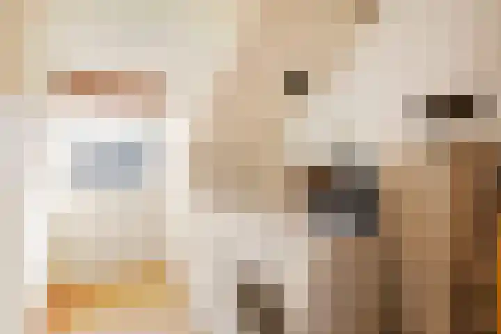 Piet Heinstraat 19 De Meern thumbnail 30