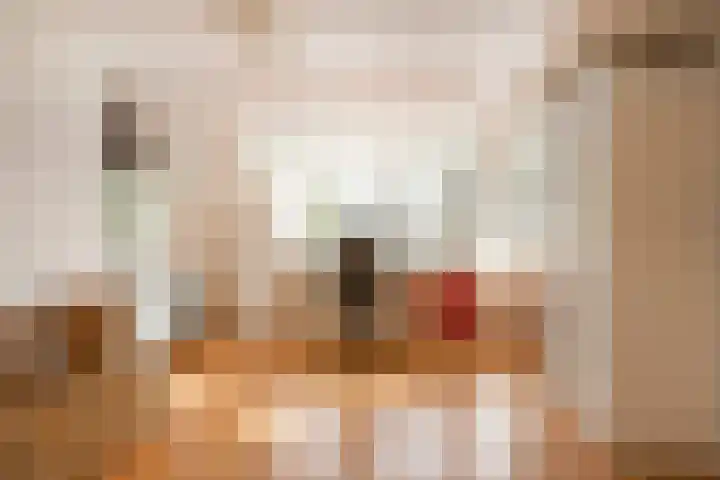 Piet Heinstraat 19 De Meern thumbnail 31