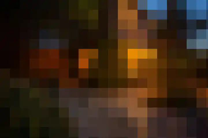 Piet Heinstraat 19 De Meern thumbnail 42