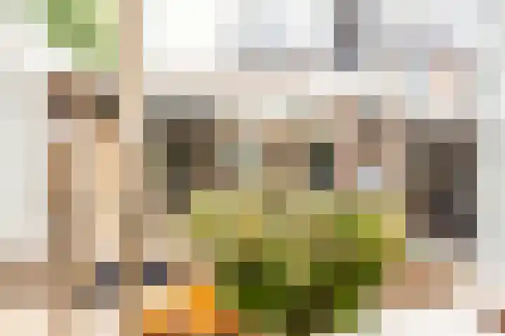 Piet Heinstraat 19 De Meern thumbnail 6