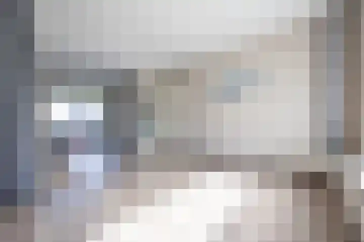 Piet Heynlaan 3 Breda thumbnail 10