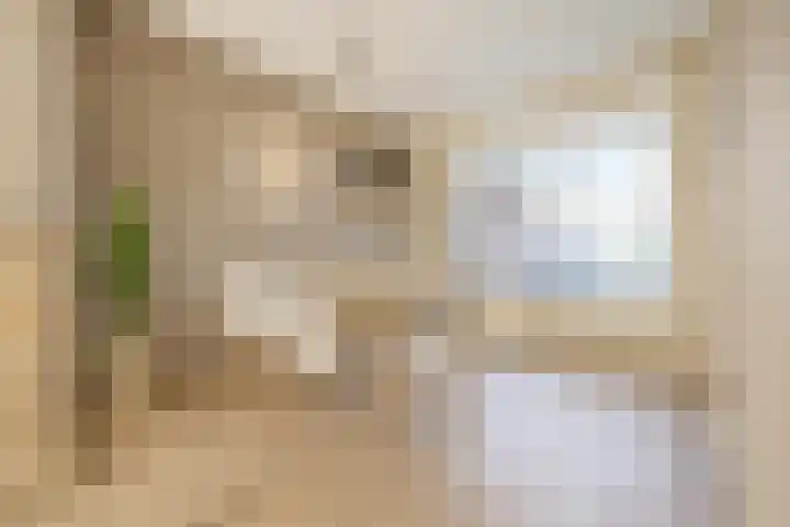 Piet Heynlaan 3 Breda thumbnail 11