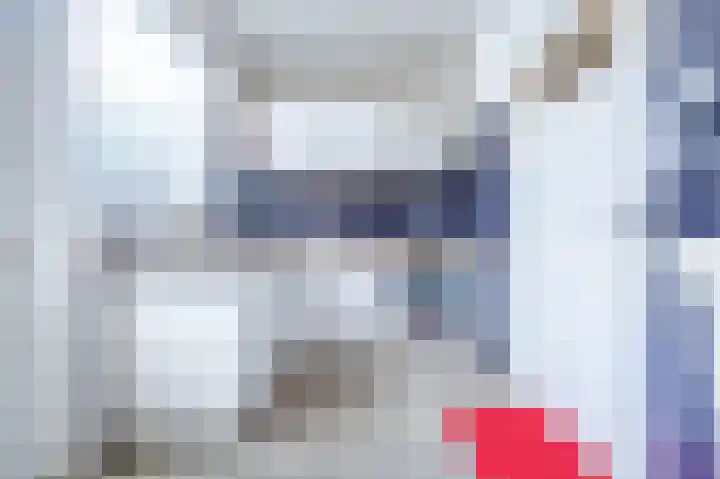 Piet Heynlaan 3 Breda thumbnail 14